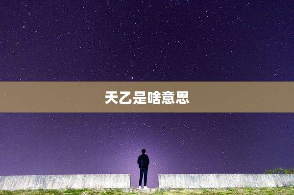 天乙是啥意思
