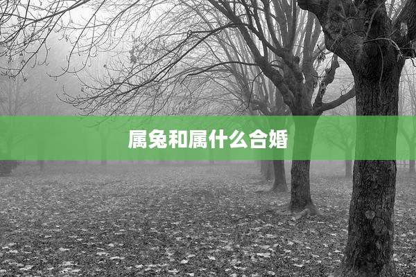 属兔和属什么合婚