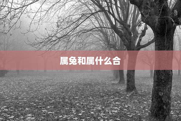 属兔和属什么合