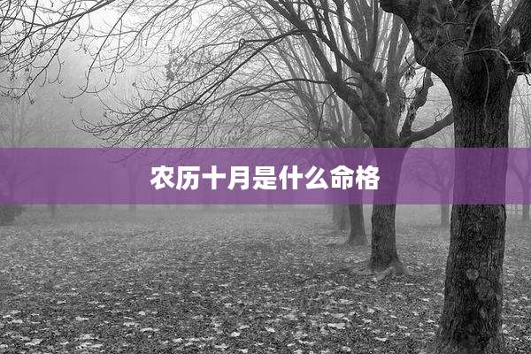 农历十月是什么命格