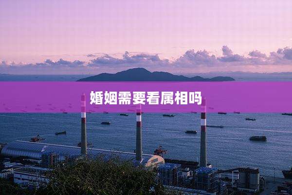 婚姻需要看属相吗