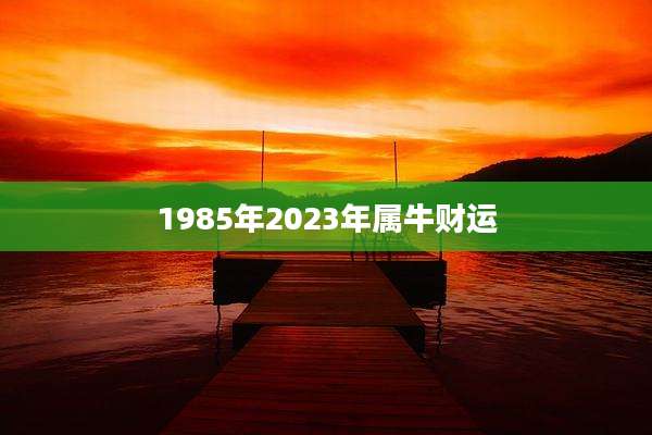 1985年2023年属牛财运