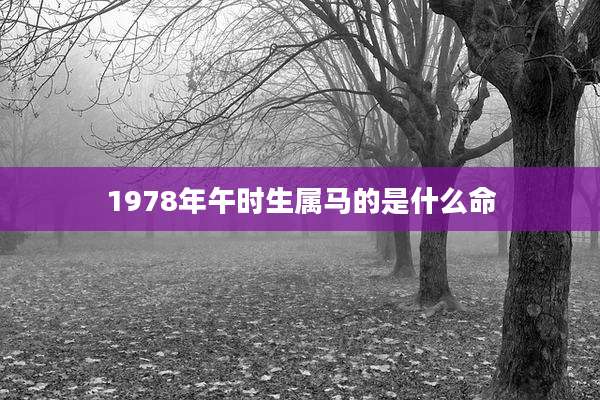 1978年午时生属马的是什么命