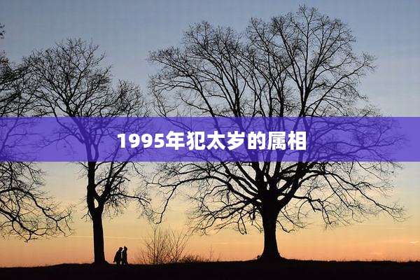 1995年犯太岁的属相