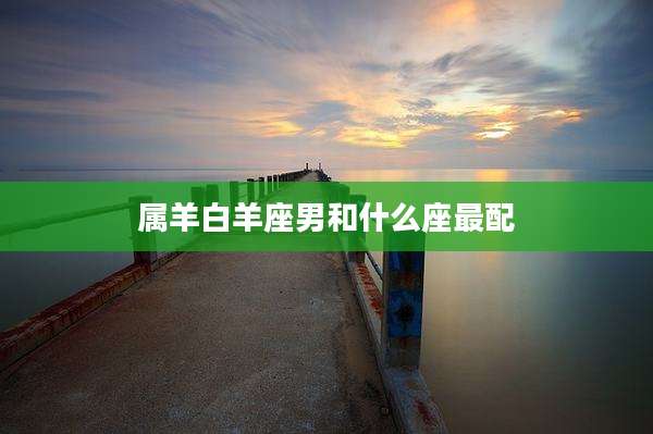 属羊白羊座男和什么座最配