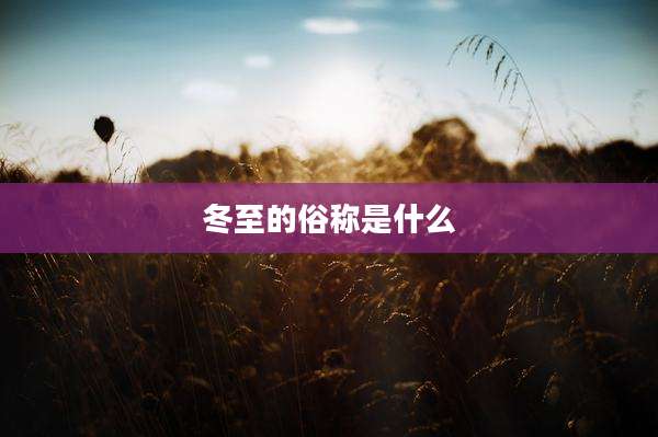冬至的俗称是什么
