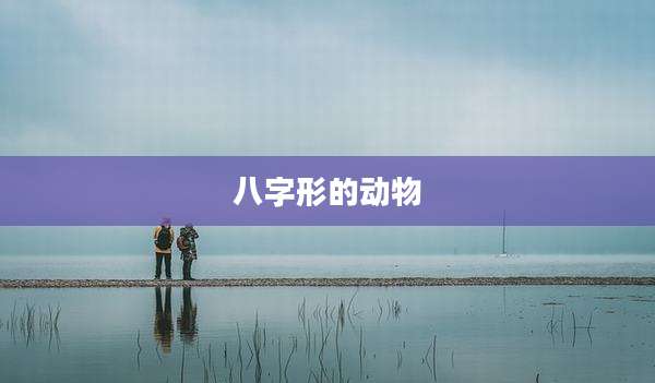 八字形的动物