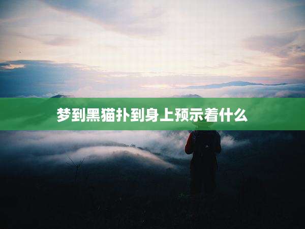 梦到黑猫扑到身上预示着什么