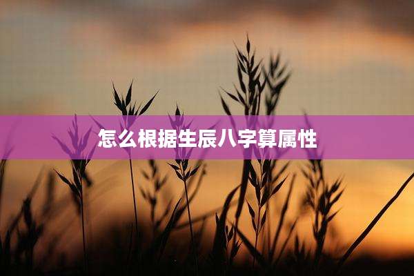 怎么根据生辰八字算属性