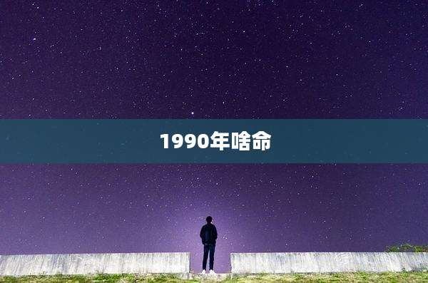 1990年啥命
