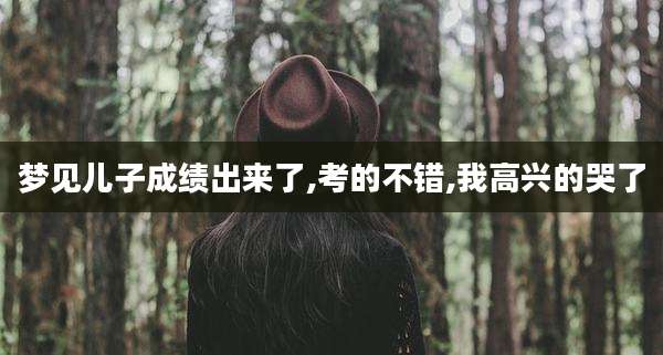 梦见儿子成绩出来了,考的不错,我高兴的哭了