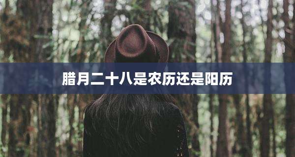 腊月二十八是农历还是阳历