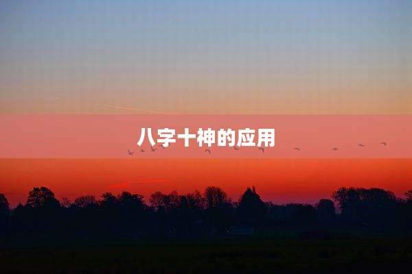 八字十神的应用