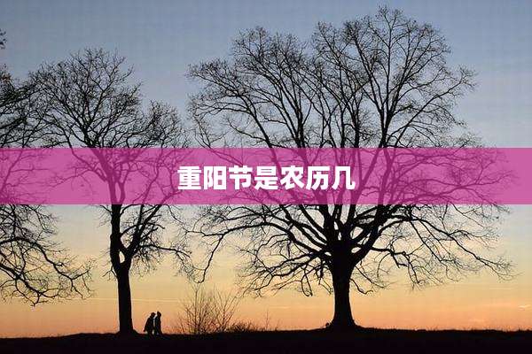 重阳节是农历几