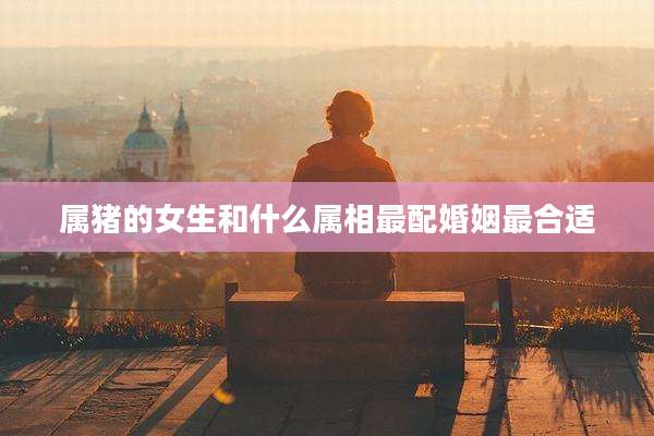 属猪的女生和什么属相最配婚姻最合适