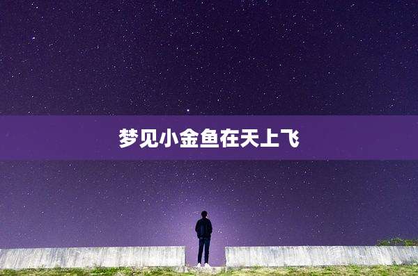 梦见小金鱼在天上飞