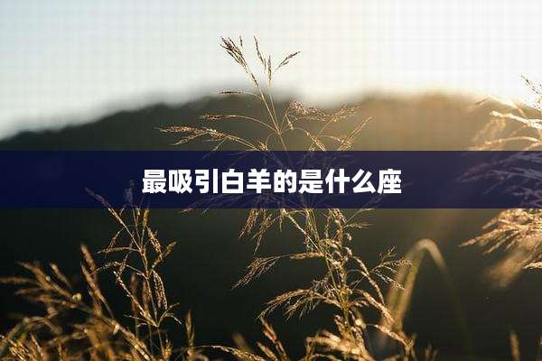 最吸引白羊的是什么座