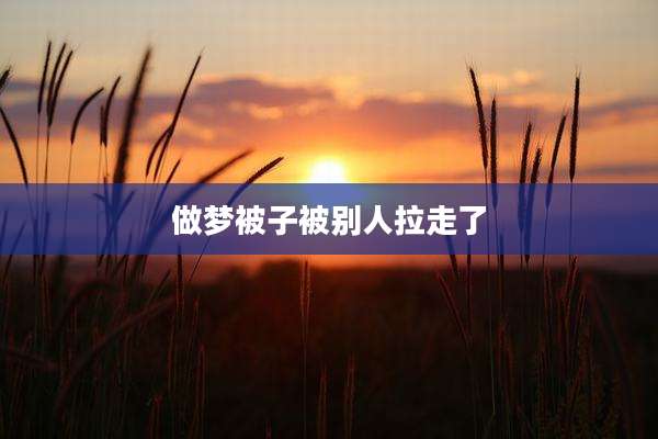 做梦被子被别人拉走了