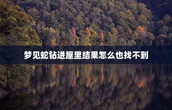 梦见蛇钻进屋里结果怎么也找不到