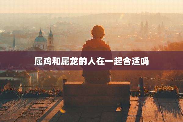 属鸡和属龙的人在一起合适吗