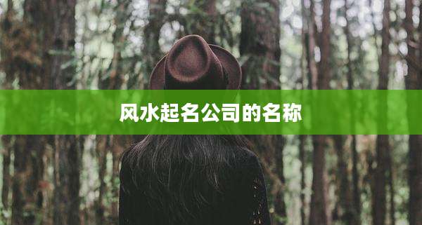 风水起名公司的名称