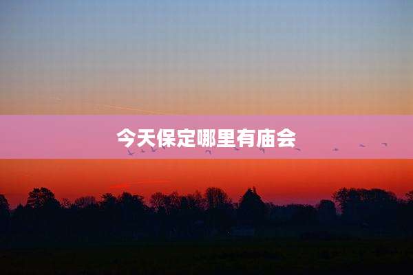 今天保定哪里有庙会