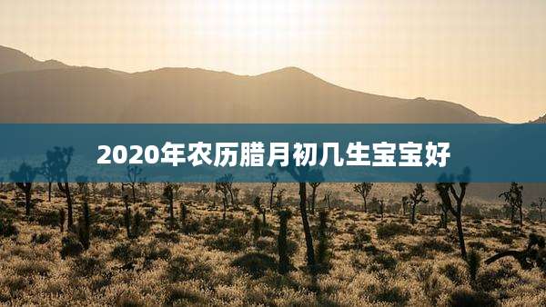 2020年农历腊月初几生宝宝好