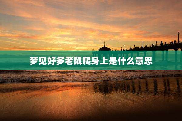梦见好多老鼠爬身上是什么意思