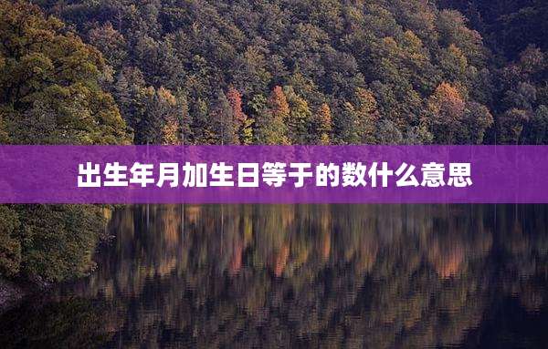 出生年月加生日等于的数什么意思