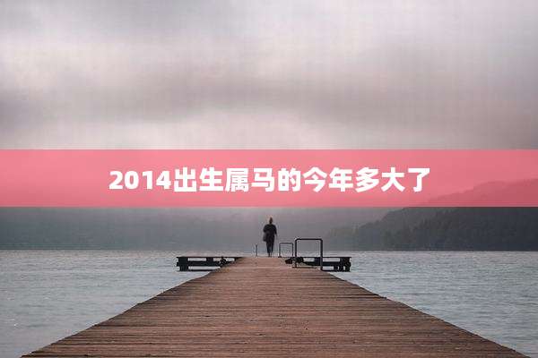 2014出生属马的今年多大了