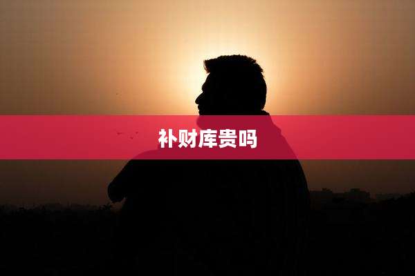 补财库贵吗