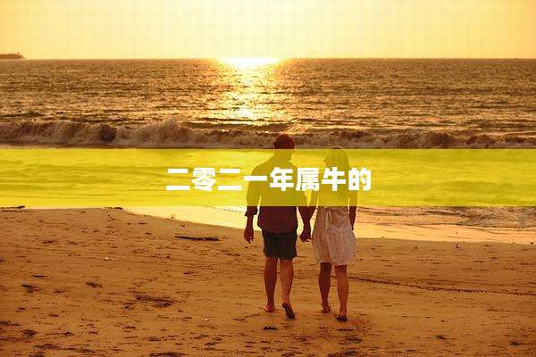 二零二一年属牛的