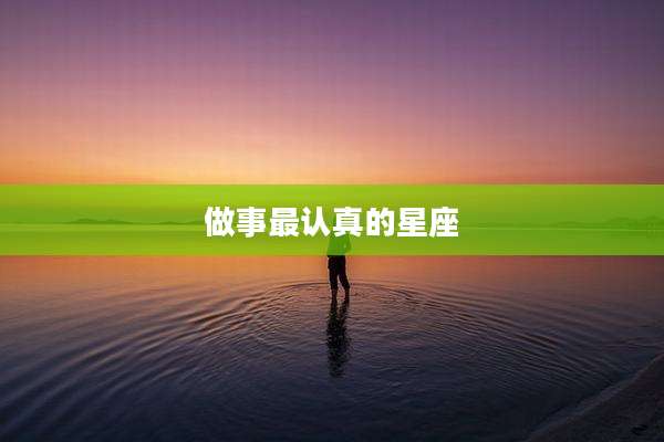 做事最认真的星座