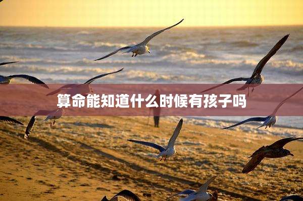 算命能知道什么时候有孩子吗