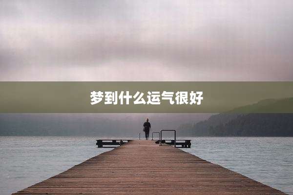梦到什么运气很好