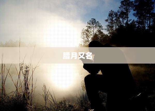 腊月又名