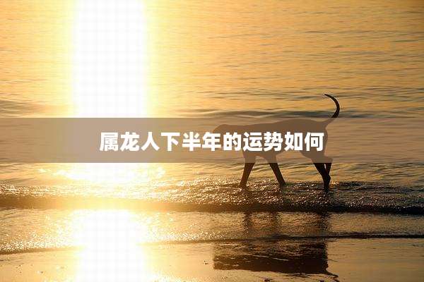 属龙人下半年的运势如何