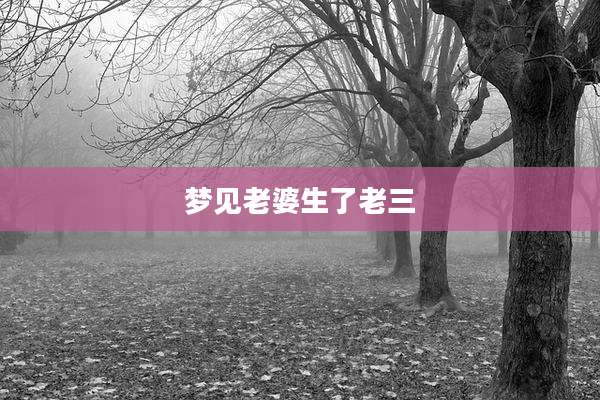 梦见老婆生了老三