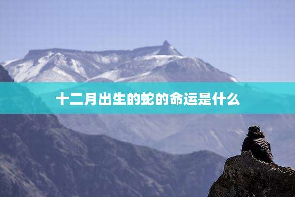 十二月出生的蛇的命运是什么