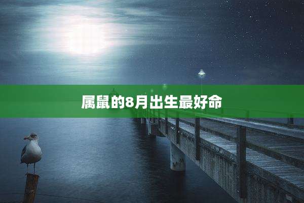 属鼠的8月出生最好命