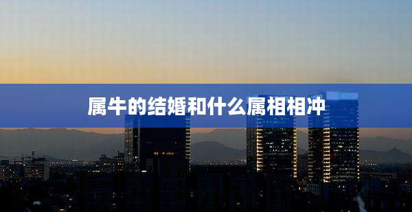 属牛的结婚和什么属相相冲