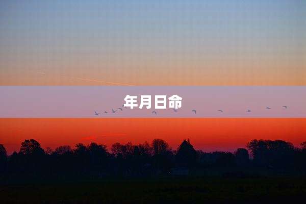 年月日命