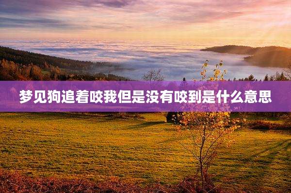 梦见狗追着咬我但是没有咬到是什么意思