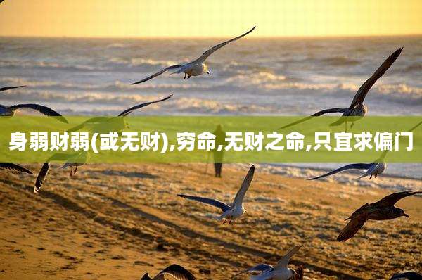 身弱财弱(或无财),穷命,无财之命,只宜求偏门