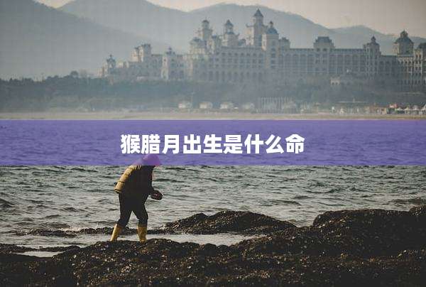 猴腊月出生是什么命