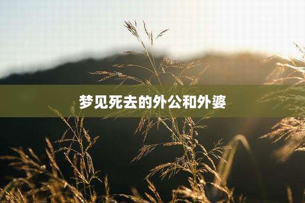 梦见死去的外公和外婆