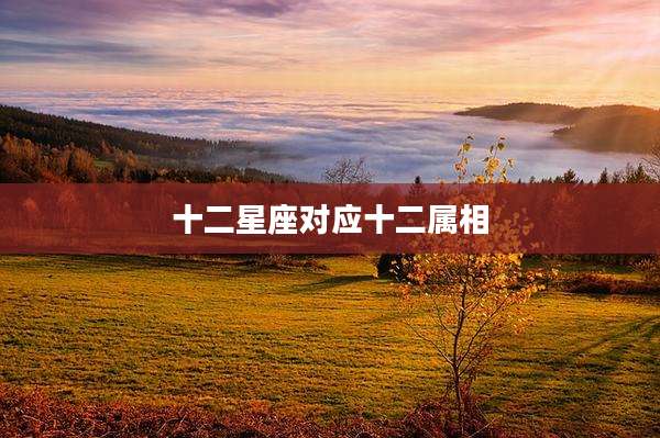 十二星座对应十二属相