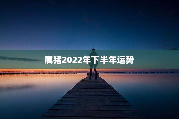 属猪2022年下半年运势