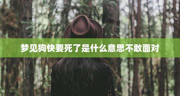 梦见狗快要死了是什么意思不敢面对