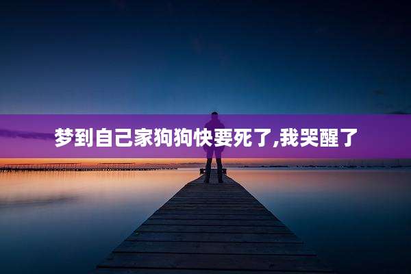 梦到自己家狗狗快要死了,我哭醒了